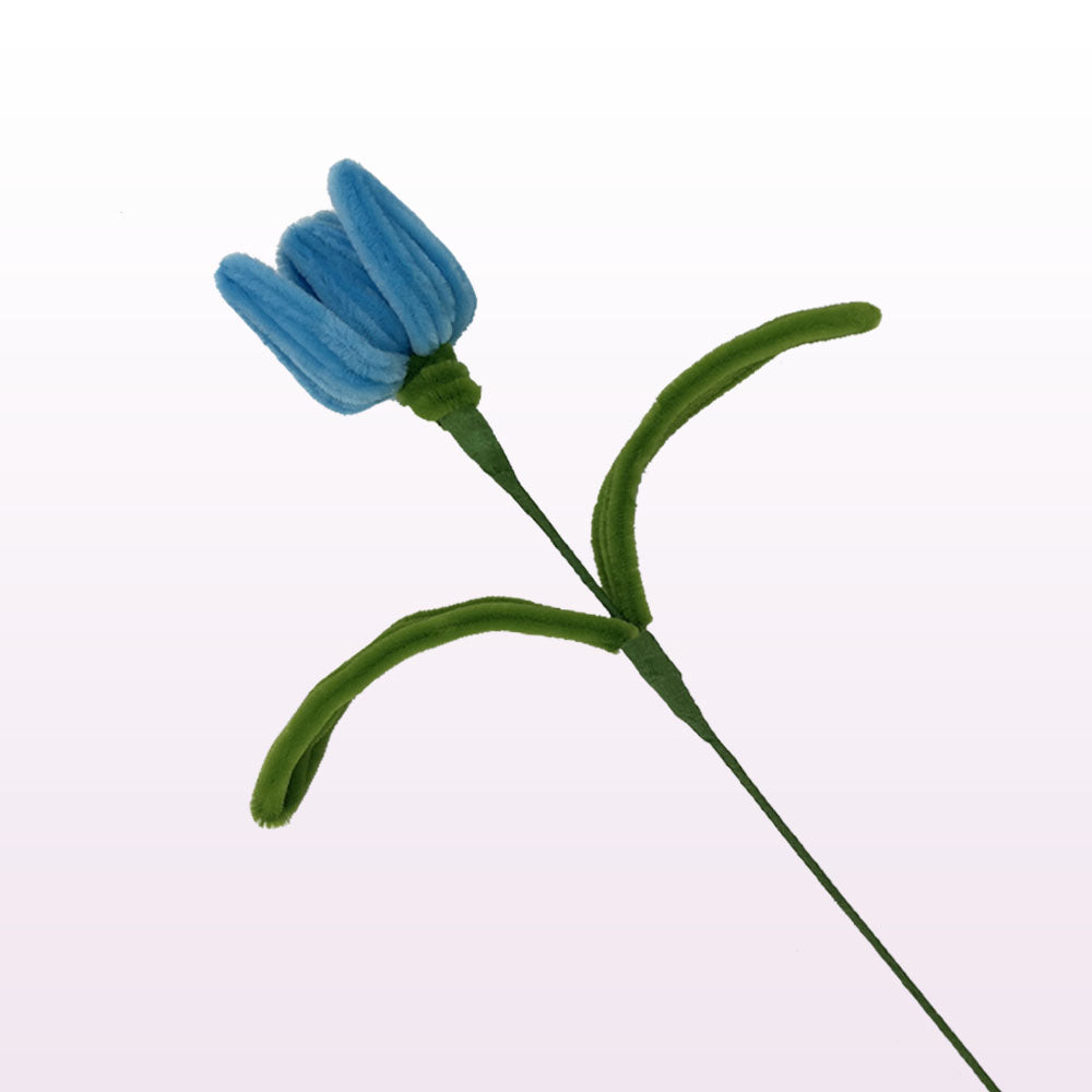 blue tulips flower