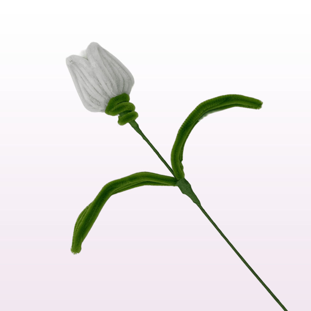 white realistic tulip